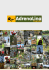 teambuilding - AdrenaLinaPark teambuilding - AdrenaLinaPark