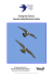 Peregrine Falcon Gender Identification Guide